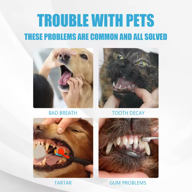Bõn Pet Dental Toothpaste